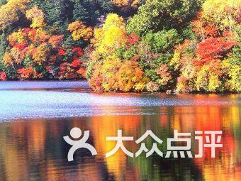 勇士吹泡泡